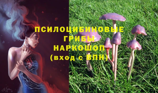 дурь Вязьма