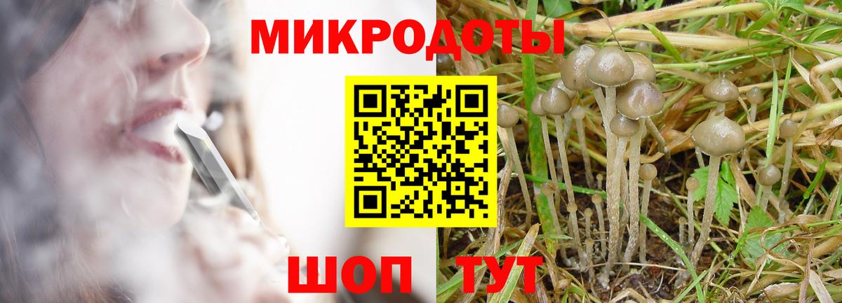 где продают наркотики  Псилоцибиновые грибы мицелий  Вход с VPN  Снежинск 
